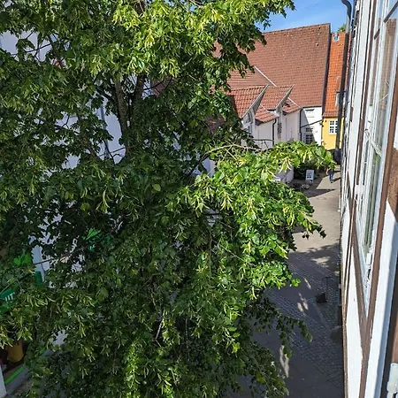 Zentrum 10 Hh 1og Gr Apartment *