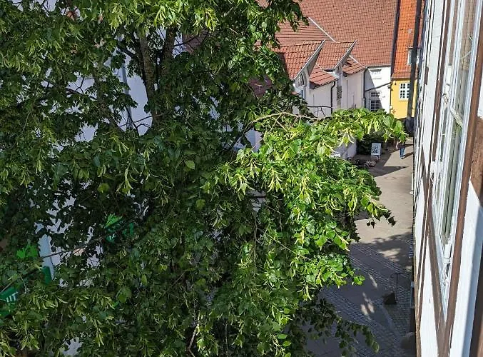 Zentrum 10 Hh 1og Gr Apartmán *